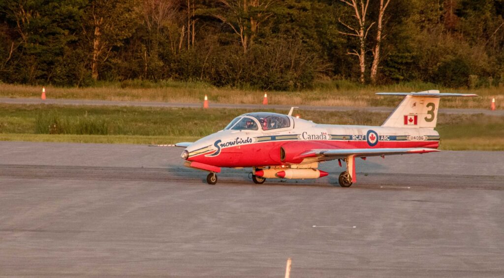 snowbirds
