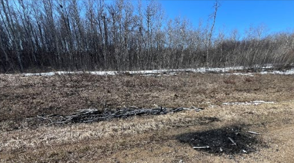 Conservation officers seek tips on two illegal dump sites 1 image 17