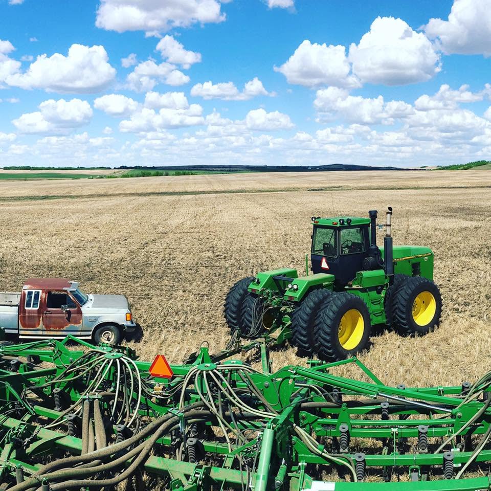 Crop Report: Lloyd area seeding hits 98% as province nears finish 1 Leo crop report