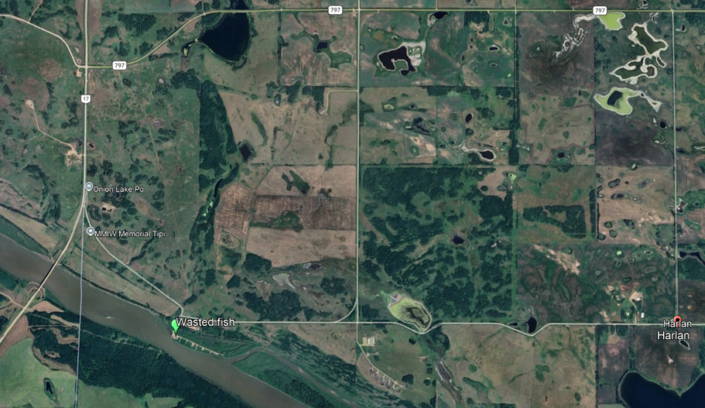 Officers seek tips on Lloydminster area fish dumping 2 image 4