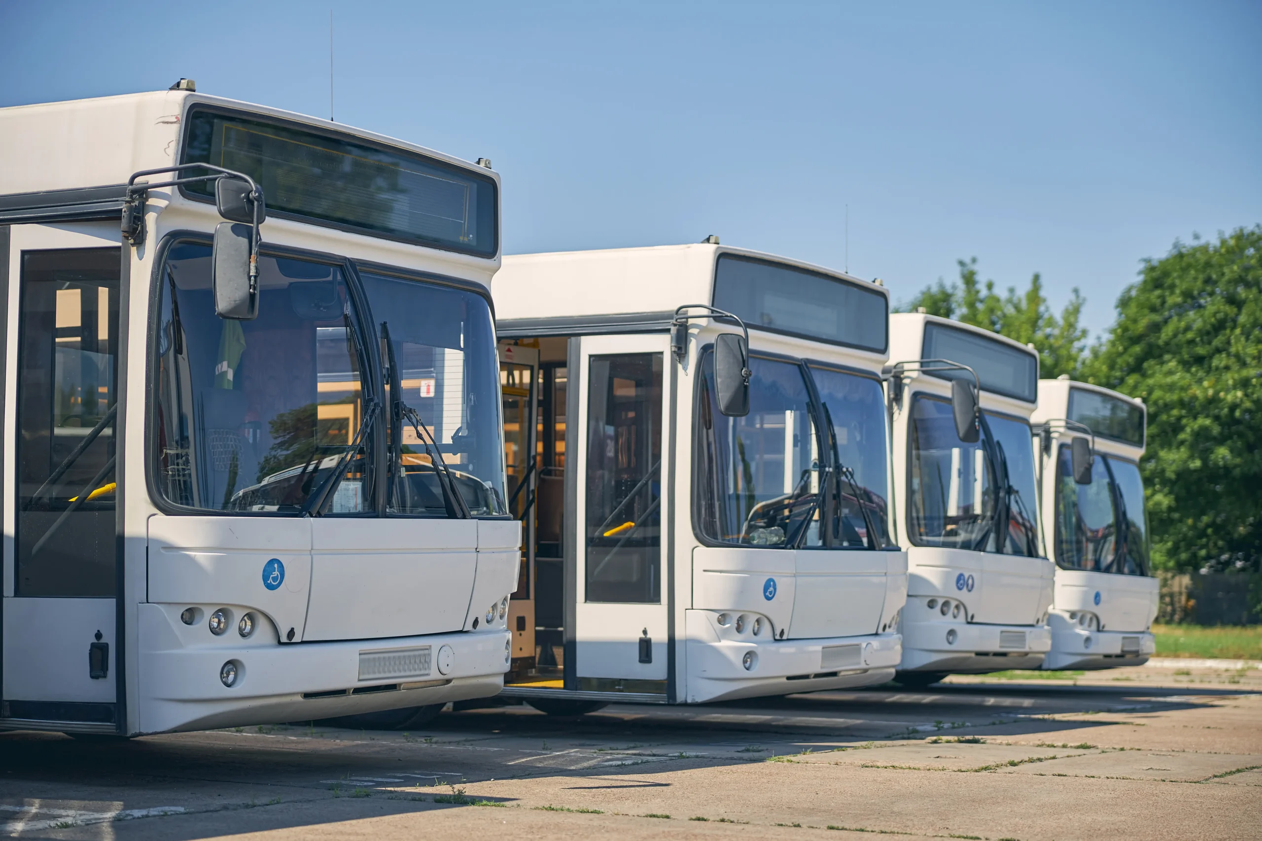 A row of white city busses on concrete